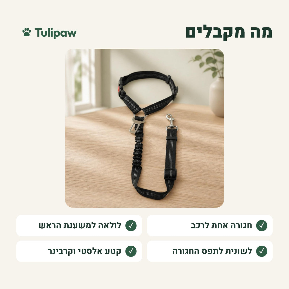 מה מקבלים: חגורה אחת לרכב