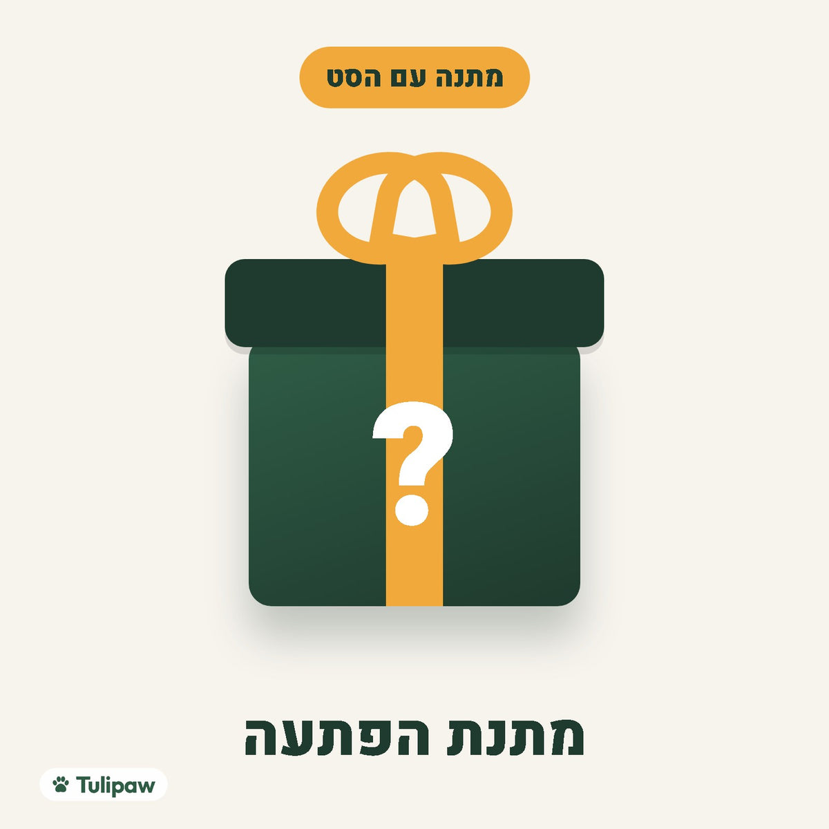 מתנת הפתעה, מתנה עם הסט