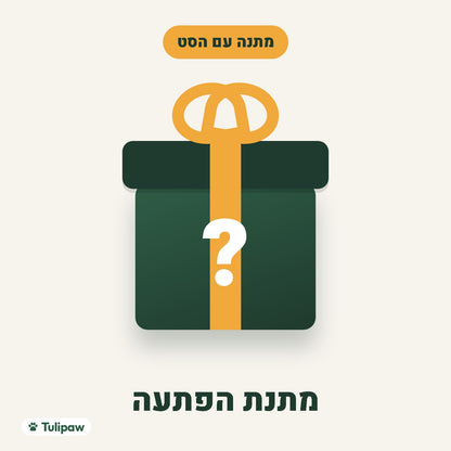 מתנת הפתעה, מתנה עם הסט